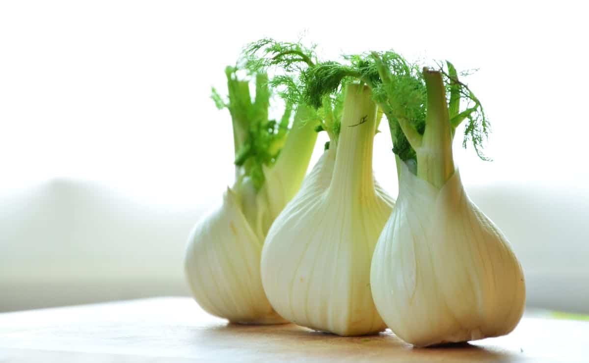 Stratégies organiques de contrôle des ravageurs : attirer efficacement les prédateurs naturels dans votre potager