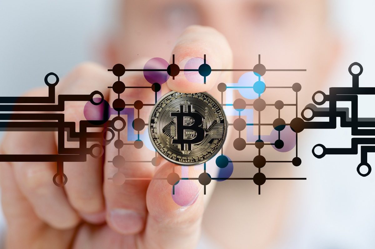 Épargner ou investir dans la crypto ?